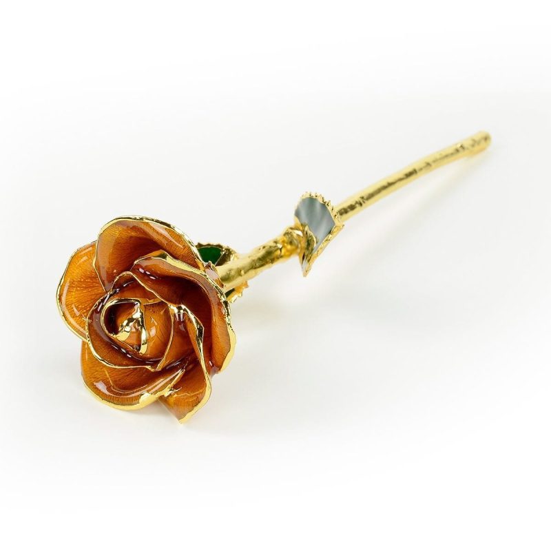 orange rose gift