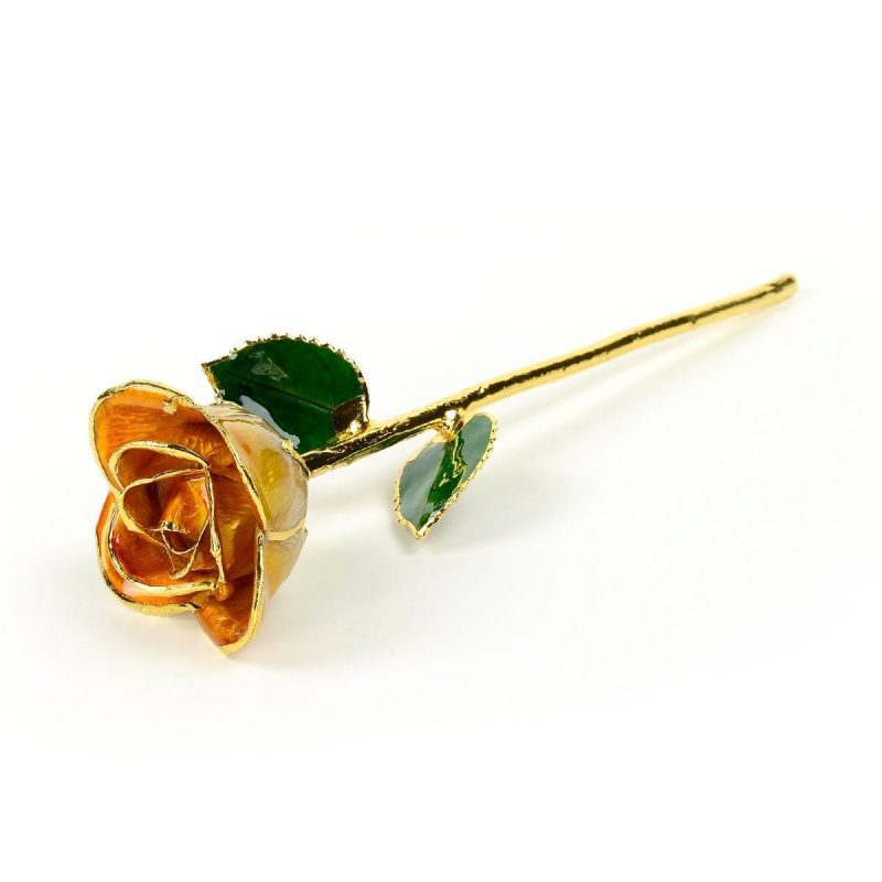 orange two tone rose gift