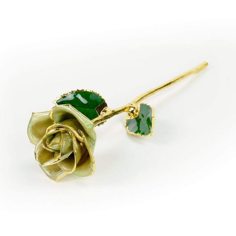 Light Green Rose<br><sub> with Premium Gift Set</sub> - Image 5