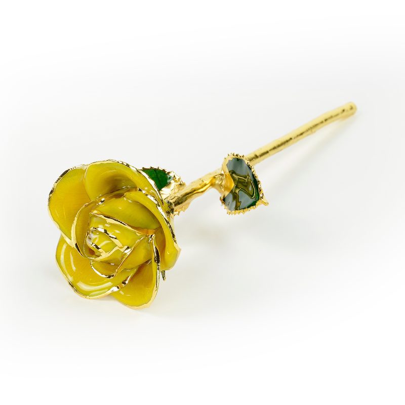 Yellow Rose<br><sub> with Premium Gift Set</sub> - Image 5